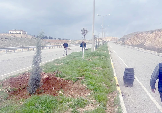 1005 AĞA&Ccedil;LA GELECEĞE NEFES