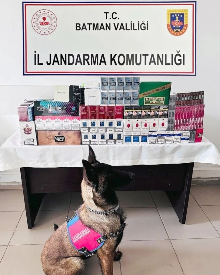 180 OLAYDA 193 ŞAHIS YAKALANDI!