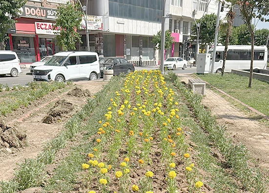 70 BİN ADET MEVSİMLİK &Ccedil;İ&Ccedil;EK TOPRAKLA BULUŞUYOR