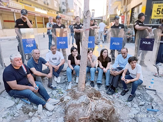 BATMAN'DA AĞAÇ SÖKÜMÜ GERİLİMİ