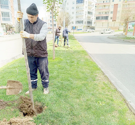 BATMAN&rsquo;DA YEŞİL SEFERBERLİK