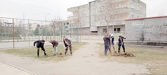 FİDANLAR TOPRAKLA BULUŞUYOR