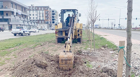 YEŞİL KUŞAK &Ccedil;ALIŞMALARI HIZ KESMEDEN S&Uuml;R&Uuml;YOR