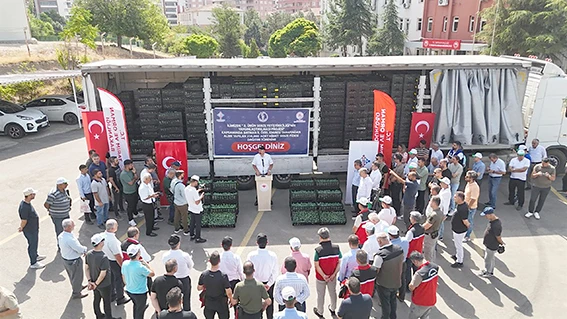 210 BİN SEBZE FİDESİ DAĞITILDI