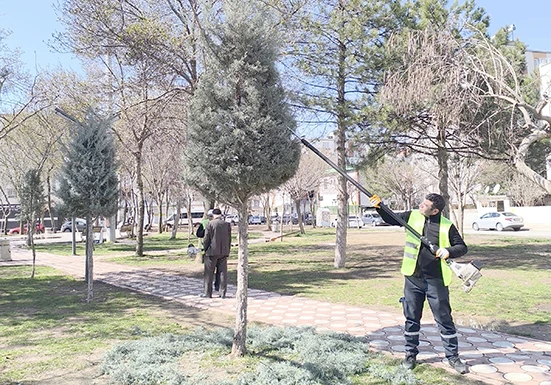 FORM VERİLEN AĞA&Ccedil;LAR KENTE FARKLI BİR AMBİYANS KATTI