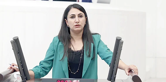 ODUNCU, PERPIRA KÖPRÜSÜNÜ MECLİSE TAŞIDI