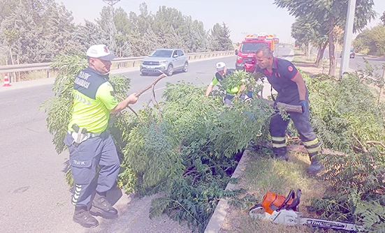 R&Uuml;ZG&Acirc;RIN DEVİRDİĞİ AĞA&Ccedil;LARA M&Uuml;DAHALE