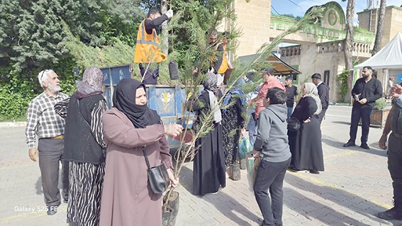 MEZARLIKTA FİDAN DAĞITIMI