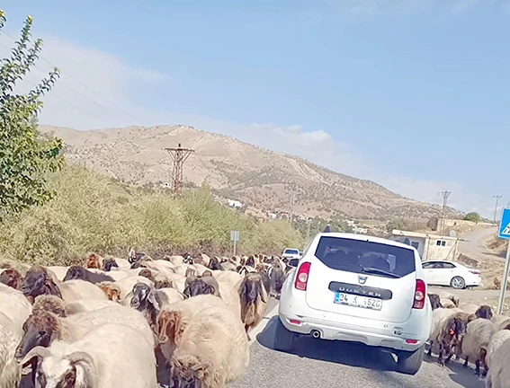 ZORLU DÖNÜŞ BAŞLADI