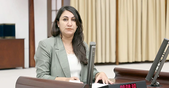 GEN&Ccedil; &Ouml;L&Uuml;MLERİ MECLİS G&Uuml;NDEMİNE TAŞINDI