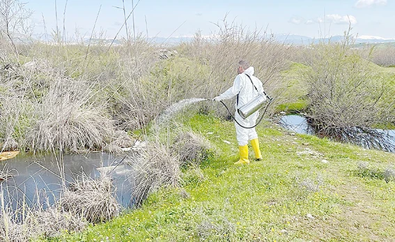 LARVA M&Uuml;CADELESİ &Ccedil;ALIŞMALARI S&Uuml;R&Uuml;YOR