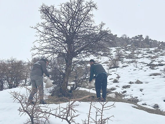 KOZLUK’TA KIŞ SEFERBERLİĞİ