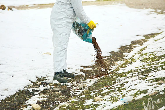 &ldquo;SOKAK HAYVANLARINA GIDA DESTEĞİ SAĞLIYORUZ&rdquo;
