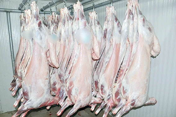 BATMAN BELEDİYESİ &ldquo;HALK SAĞLIĞI KIRMIZI &Ccedil;İZGİMİZDİR&rdquo;