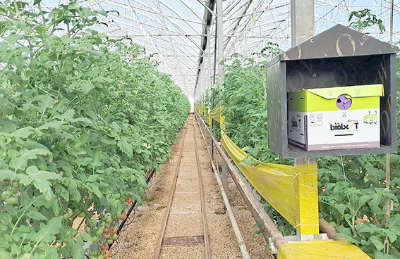 BATMAN TARIMINDA YENİ HAMLE