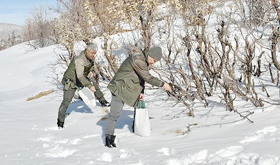 ORMAN EKİBİ DOĞADAKİ CANLILARI YALNIZ BIRAKMADI!