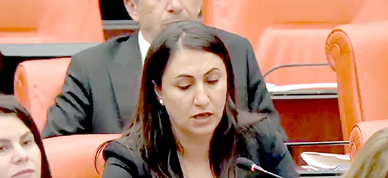 “YILKI ATLARININ VAHŞİCE ÖLDÜRÜLMESİNE SESSİZLİK ANLAMLI DEĞİL”