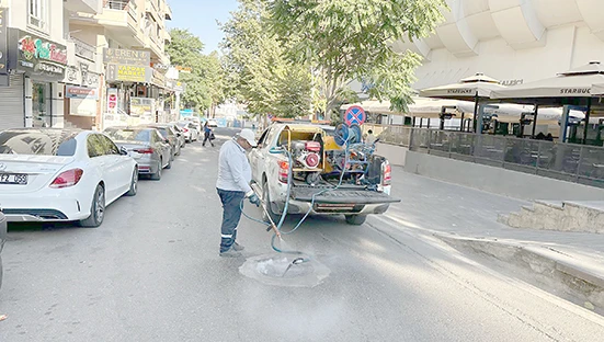 HAŞERE VE VEKT&Ouml;RLERE KARŞI YOĞUN M&Uuml;CADELE