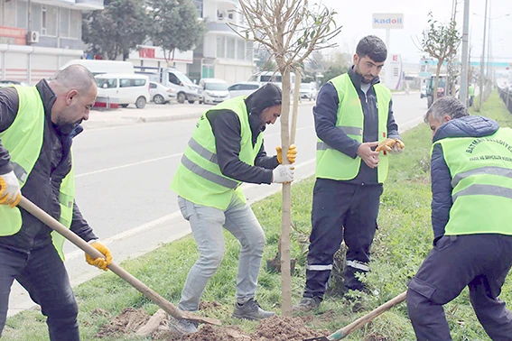 BATMAN&rsquo;A NEFES OLAN AĞA&Ccedil;LANDIRMA SEFERBERLİĞİ