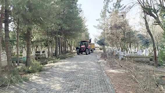 İKİZ TEPE MEZARLIĞI&rsquo;NDA BUDAMA TAMAMLANDI