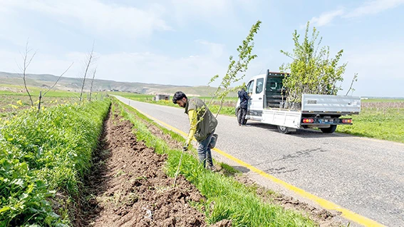 7 K&Ouml;Y YOLUNA 3 BİN 300 MEYVE FİDANI DİKİLDİ