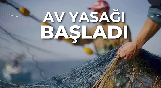 AV YASAĞI BAŞLADI