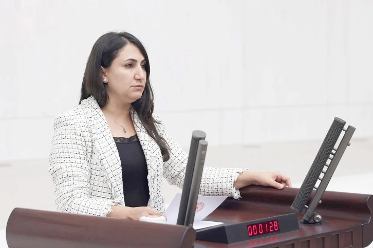 ODUNCU VE TİRYAKİ AKSA DOĞALGAZI MECLİSE TAŞIDI