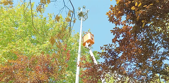 PARK VE BAH&Ccedil;ELER M&Uuml;D&Uuml;RL&Uuml;Ğ&Uuml;&rsquo;NDEN 6 AYDA 8 BİN 779 İŞLEM