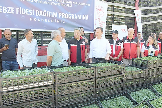 ÜRETİCİLERE 450 BİN ADET SEBZE FİDESİ DESTEĞİ