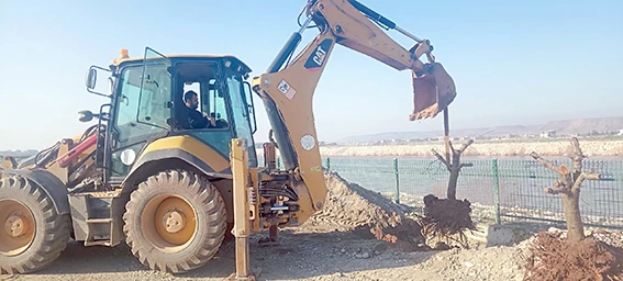 YEŞİL ALANLAR GENİŞLİYOR