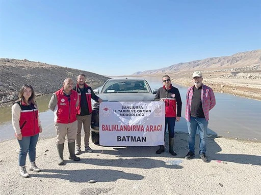 1 MİLYON YAVRU ŞABUT BALIĞI ILISU BARAJ G&Ouml;L&Uuml;NE BIRAKILDI