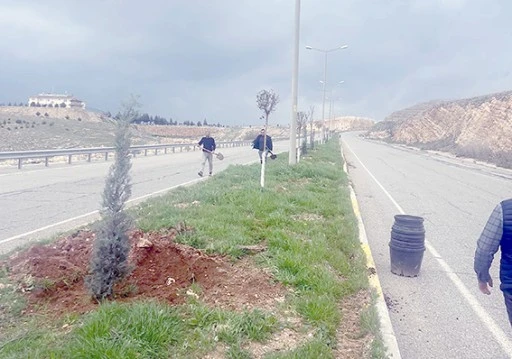 1005 AĞA&Ccedil;LA GELECEĞE NEFES