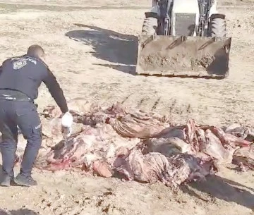 150 KİLO KA&Ccedil;AK ET İMHA EDİLDİ