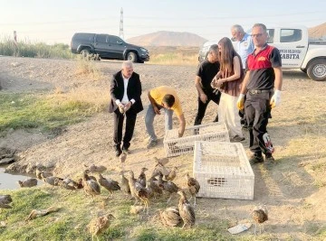 1500 S&Uuml;L&Uuml;N DOĞAYA BIRAKILDI