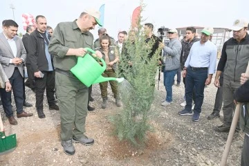 165 BİN ADET FİDAN TOPRAKLA BULUŞTURULUYOR