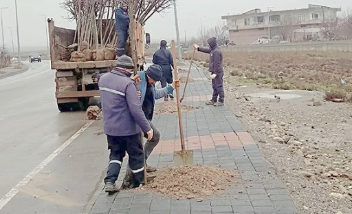 2 AYDA 2157 FİDAN TOPRAKLA BULUŞTU