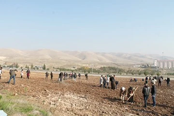 5 BİN FİDAN DİKİLDİ