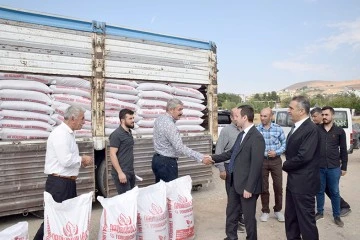 50 TON MERCİMEK TOHUMU DAĞITILDI