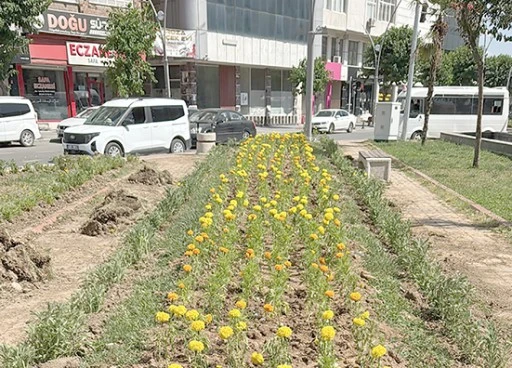 70 BİN ADET MEVSİMLİK &Ccedil;İ&Ccedil;EK TOPRAKLA BULUŞUYOR