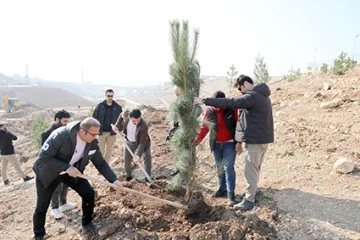 AĞA&Ccedil; DİKİM &Ccedil;ALIŞMALARI İNCELENDİ