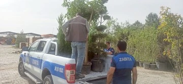 AĞA&Ccedil; KESEN ESNAFA 10 AĞA&Ccedil; HİBE CEZASI