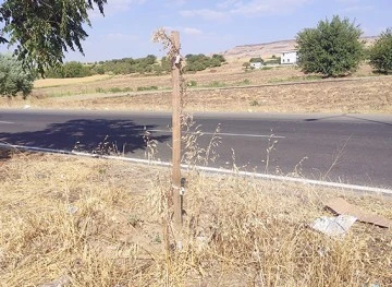 AĞA&Ccedil;LAR, SUSUZLUKTAN KURUDU!