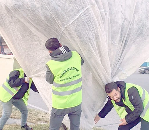 AĞA&Ccedil;LARA KIŞ KORUMASI