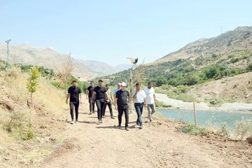 ALI&Ccedil;LI MESİRE ALANI &Ccedil;ALIŞMALARI DEVAM EDİYOR