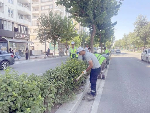 ANA ARTERLERDE KURU OT TEMİZLİĞİ GER&Ccedil;EKLEŞTİRDİ