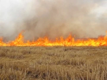 ANIZ YAKANLARA B&Uuml;Y&Uuml;K CEZA!