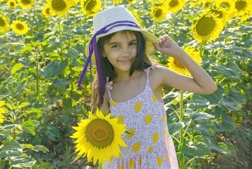 AY&Ccedil;İ&Ccedil;EK TARLALARI KARTPOSTALLIK G&Ouml;R&Uuml;NT&Uuml;LER OLUŞTURDU