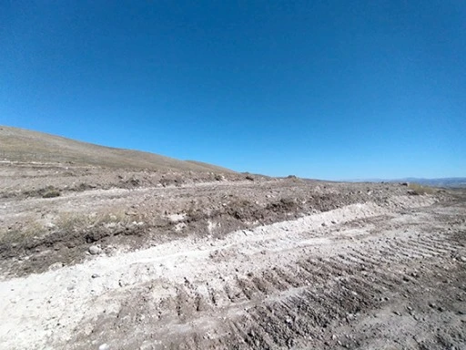 BATI RAMAN KAMP&Uuml;S&Uuml; MİLLİ AĞA&Ccedil;LANDIRMA G&Uuml;N&Uuml;NE HAZIRLANIYOR