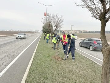 BATMAN&rsquo;A YEŞİL KUŞAK &Ccedil;OK YAKIŞACAK