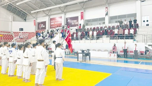 BATMAN'DA JUDO ANALİG COŞKUSU